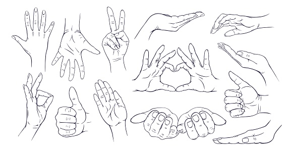 Set collection of human hand gestures. Hand drawn with ink. Isolated on white background vector.