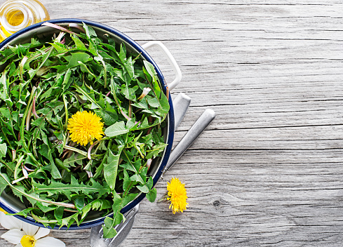Fresh dandelion salad with dressing close up. Healthy spring food concept