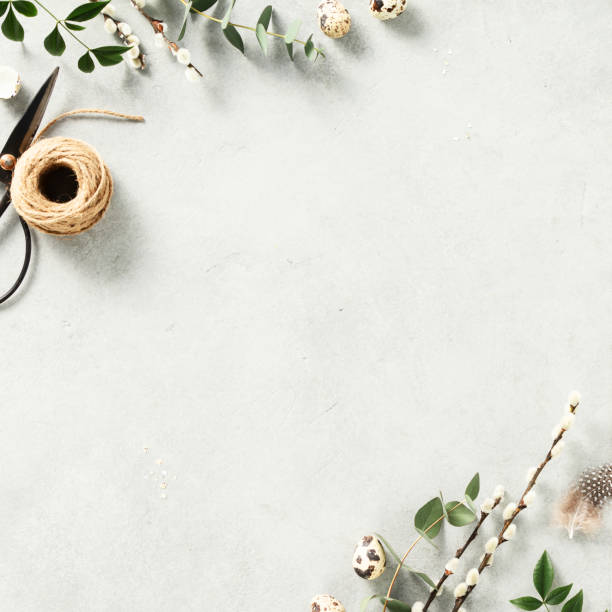 Easter eggs, feathers and spring flowers. Top view with copy space stock photo