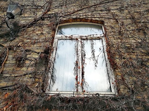 Tiny window with wrought iron bars