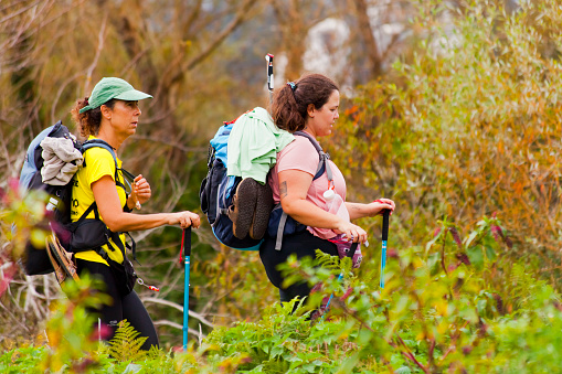 Side view of two pilgrims in the 'Camino de Santiago' , large backpacks, autumn, Galicia, Spain. Green vegetation in the background.