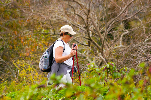 Female pilgrim in the 'Camino de Santiago' ,  backpack, autumn, Galicia, Spain. Green vegetation, forest .Pontevedra province, Galicia, Spain.