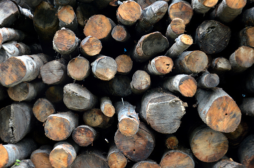 pattern on stacks of logs background