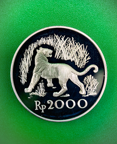 Javanese tiger silver coins