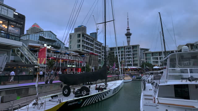 Viaduct Harbour marina in Downtown Auckland, New Zealand at dusk
