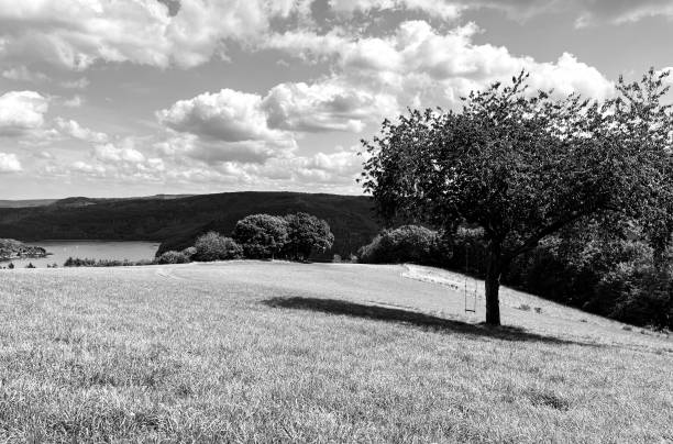 wonderful nature at the rursee
