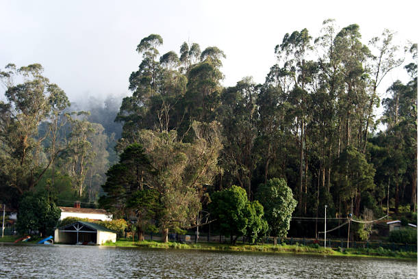View of landscape at edge of lake at Kodaikanal in Tamil Nadu, India, Asia