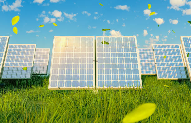 istock Solar panels on green grass field. Sustainable energy concept. 3d rendering. 2072767199