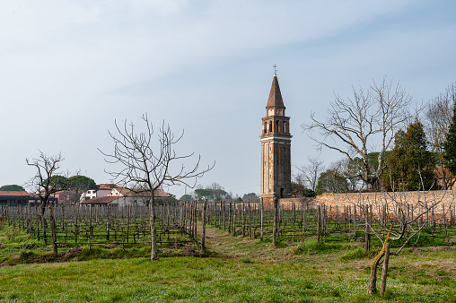 Mazzorbo, Italy- Feb 25, 2023: The medieval tower and wine vineyard at Mazzorbo Italy