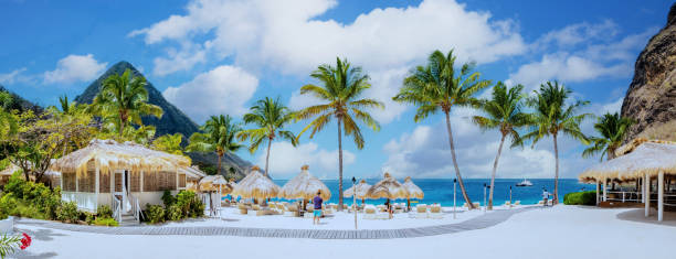 Sugar beach Saint Lucia, a public white tropical beach with palm trees and luxury beach chairs on the beach
