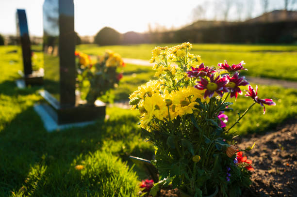 istock Dusk at a winter's English cemetery seen with in-focus flowers in a burial plot. 2072811003