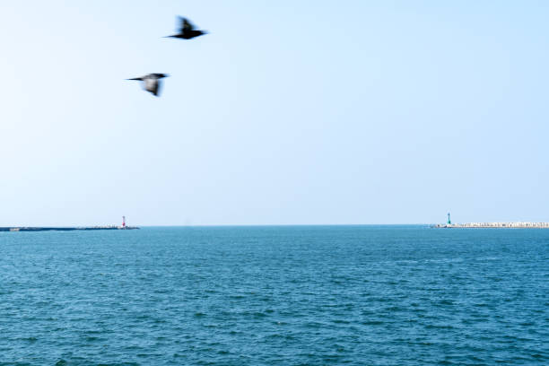istock Sea horizon with lighthouses standing on the breakwaters on both sides and two birds flying in the foreground 2072831684
