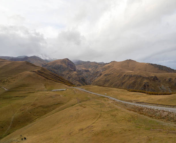 istock The great yellow grass in fall season in Caucasus Mountains. 2072840088