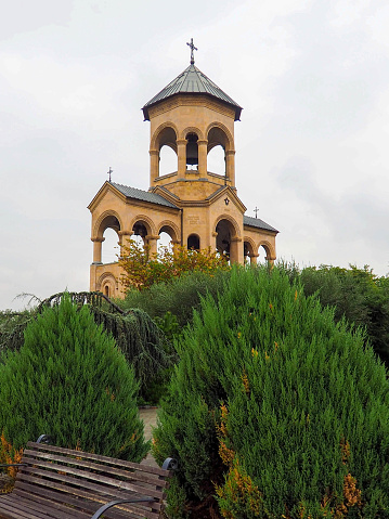 The a free-standing bell-tower and green pine of holy trinity cathedral of tbilisi, Georgia.