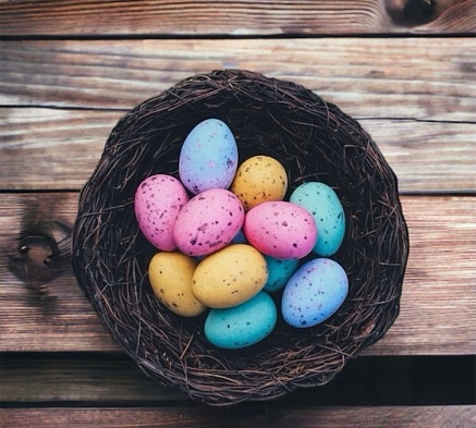Colourful egg’s basket Easter theme