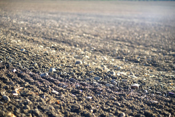 concept of drought, dry land for sowing