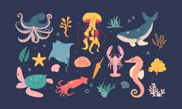 istock Set of cute vector illustrations of the underwater world 2072869560