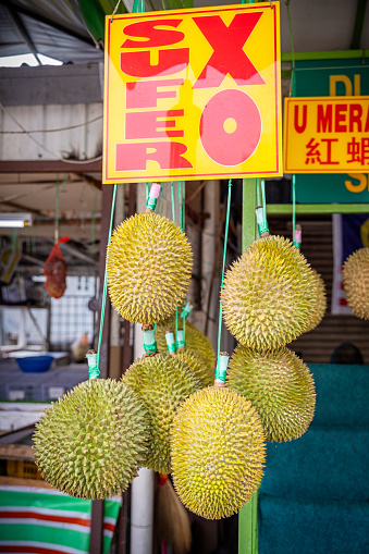 Chow Kit market, Kuala Lumpur, Malaysia - January 8th 2024:  The fruits of Durio zibethinus, called durian is a popular fruit all over South-east Asia despite its smell. These are seen at the central market in the Malaysian capital