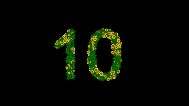 Countdown 10 seconds with yellow daisy flowers and green leaves on plain black background