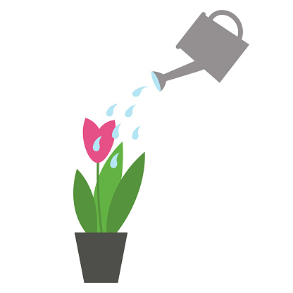 Plant and watering can with water hand drawn isolated flat vector illustration .Gardening tools, seedlings and flowers are watered from watering can, design element for print, logo, card, paper, sign, template