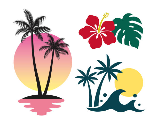 ilustraciones, imágenes clip art, dibujos animados e iconos de stock de palmeras, atardecer hawaiano e iconos de hibisco - guam