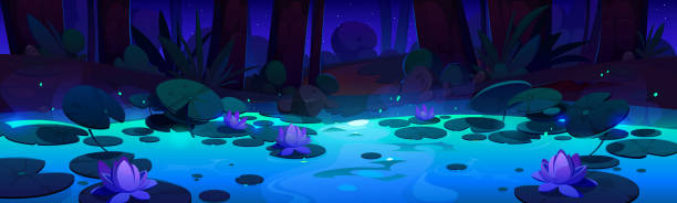 istock Night forest landscape with water lilies on lake 2072924597
