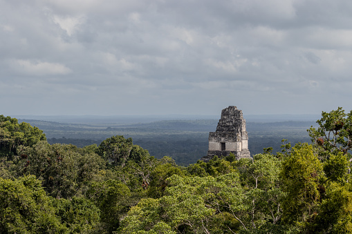 Temple I or gran jaguar at Tikal National Park, ancient mayan ruins in Guatemala on sunny day.