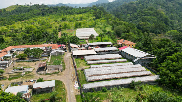 istock Rooftop farm with rows of greenhouses 2072949201