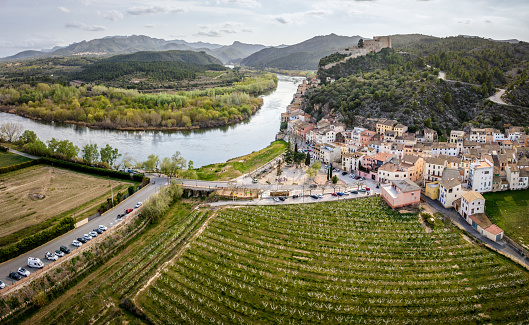 Aerial panoramic view of rows of peach, cherry or almond trees full of beautiful white blossoms flowers in front of the village of Miravet with the Ebro river in Tarragona in Spring, Catalonia. Spain