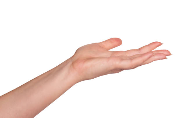 istock Female hand, palm facing up as if holding something. Isolate on white background 2072985889