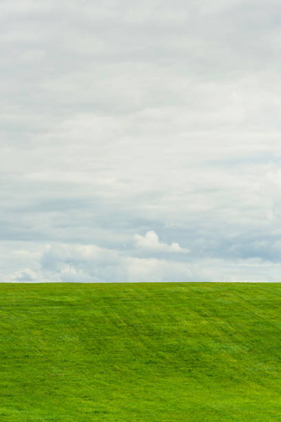 simple natural landscape with big sky and little green grass. Nature background with copy space place