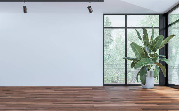 istock Front view of an empty unfurnished modern interior with a large potted plant (strelitzia Nicolai) in front of large corner windows with garden view and balcony, a blank white wall on the other side 2072997255