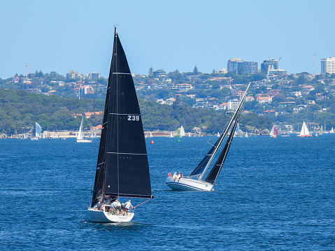 Two yachts passing each other on Sydney Harbour.  In the background are residential districts of the Eastern Suburbs.  On the horizon are residential buildings in Bondi Junction. This image was taken from Manly on a hot and sunny afternoon on 9 March 2024.