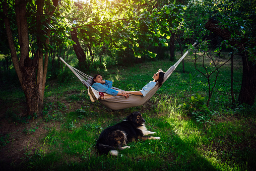 Two beautiful happy lesbian girls relax and hold hands in the rays of the sun while lying in a hammock in a summer garden with their big fluffy dog.