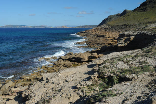 istock La costa della Nurra tra Rena Maiore e Monte Rugginosu 2073039634