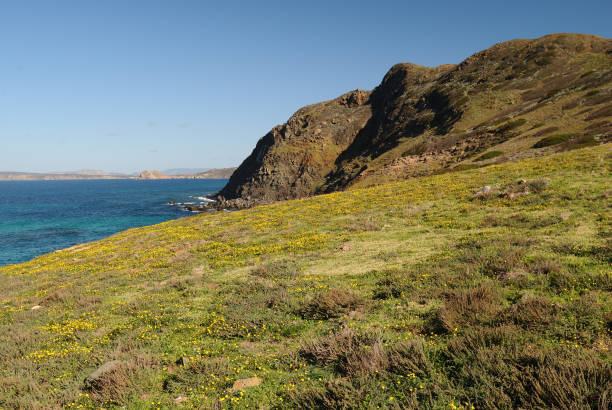 istock La costa della Nurra tra Rena Maiore e Monte Rugginosu 2073040147
