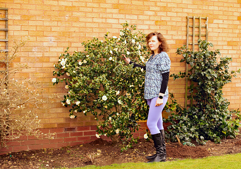 A glamourous brunette lady is pictured proudly standing beside camelias just coming into flower in early March.