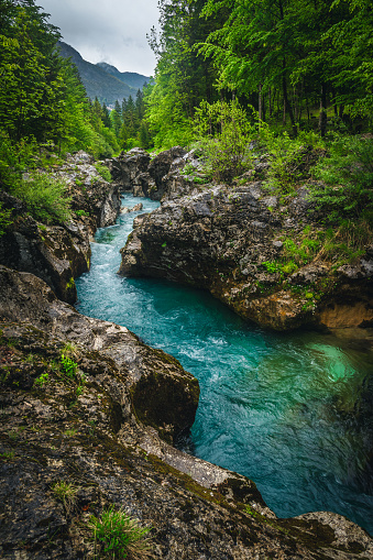 One of the most famous river in Slovenia. Great recreation place and kayaking destination. Winding Soca river in the gorge, Trenta, Slovenia, Europe