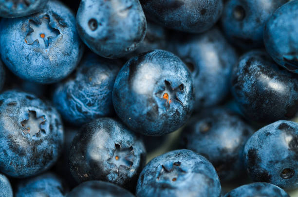 istock Closeup or macro of blueberries 2073255900
