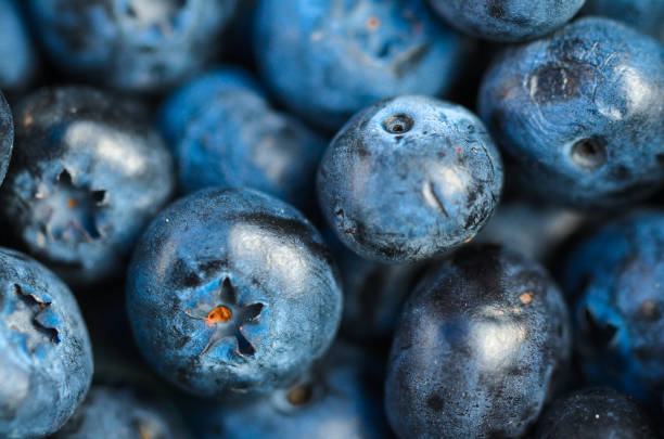 istock Closeup or macro of blueberries 2073256344