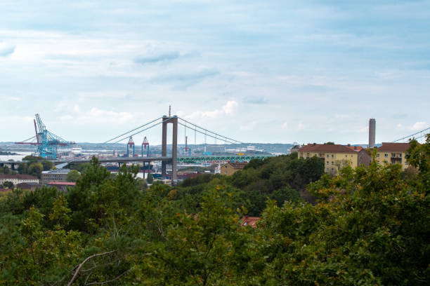 Landscape view of forest and city, skyline