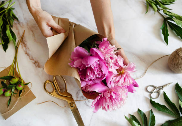 istock pink persian buttercup flowers in hands. Curly peony ranunculus. Empty spase 2073258438