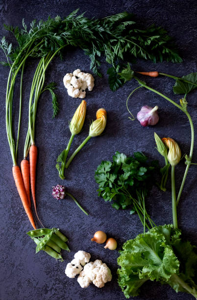 Flat Stacking series assorted green tinted Vegetables, Fresh Organic raw products
