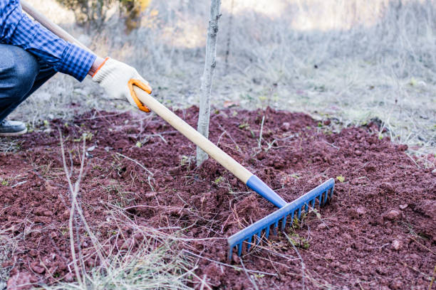 Man is planting tree in nature parkland.