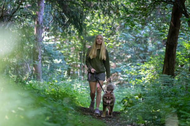 istock Woman and dog walking in forest 2073296912