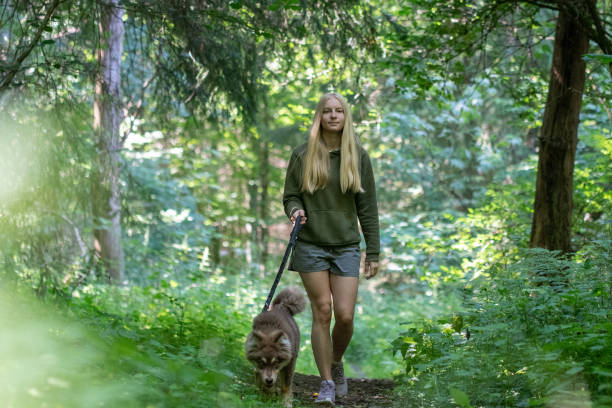 istock Woman and dog walking in forest 2073296920