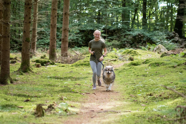 istock Woman and dog running in forest 2073297469