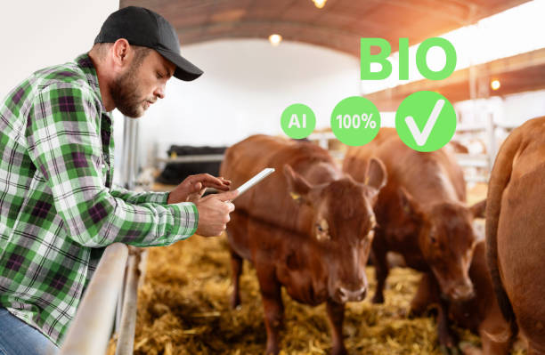 istock Bio farm livestock. Man farmer using digital farmer controls and monitors the Bio quality standards. 2073331618