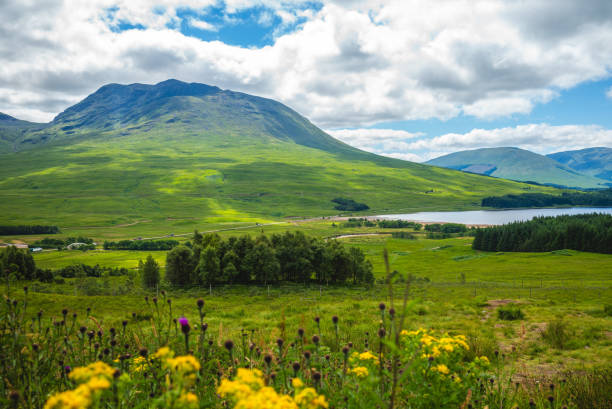 istock scenery of Loch Lomond at highlands 2073336914