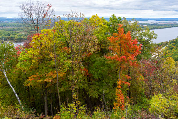 Panoramic view of colorful autumn deciduous forest. Autumn landscape with yellow red and green leaves on trees. Bright leaf color in fall nature. Scene of calm nature and orange foliage outdoors.